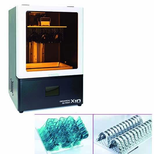 Organical 3D Print X10